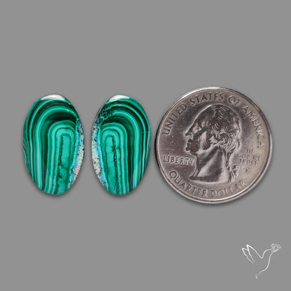 Chrysocolla In Malachite Pair