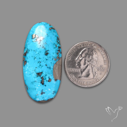 Morenci Turquoise With Pyrite Inclusions