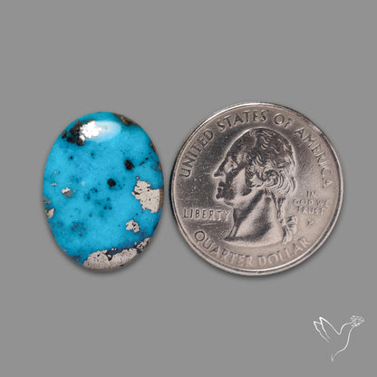 Morenci Turquoise With Pyrite Inclusions