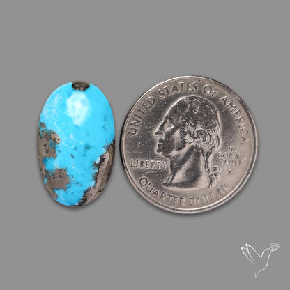 Morenci Turquoise With Pyrite Inclusions