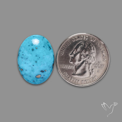 Morenci Turquoise With Pyrite Inclusions