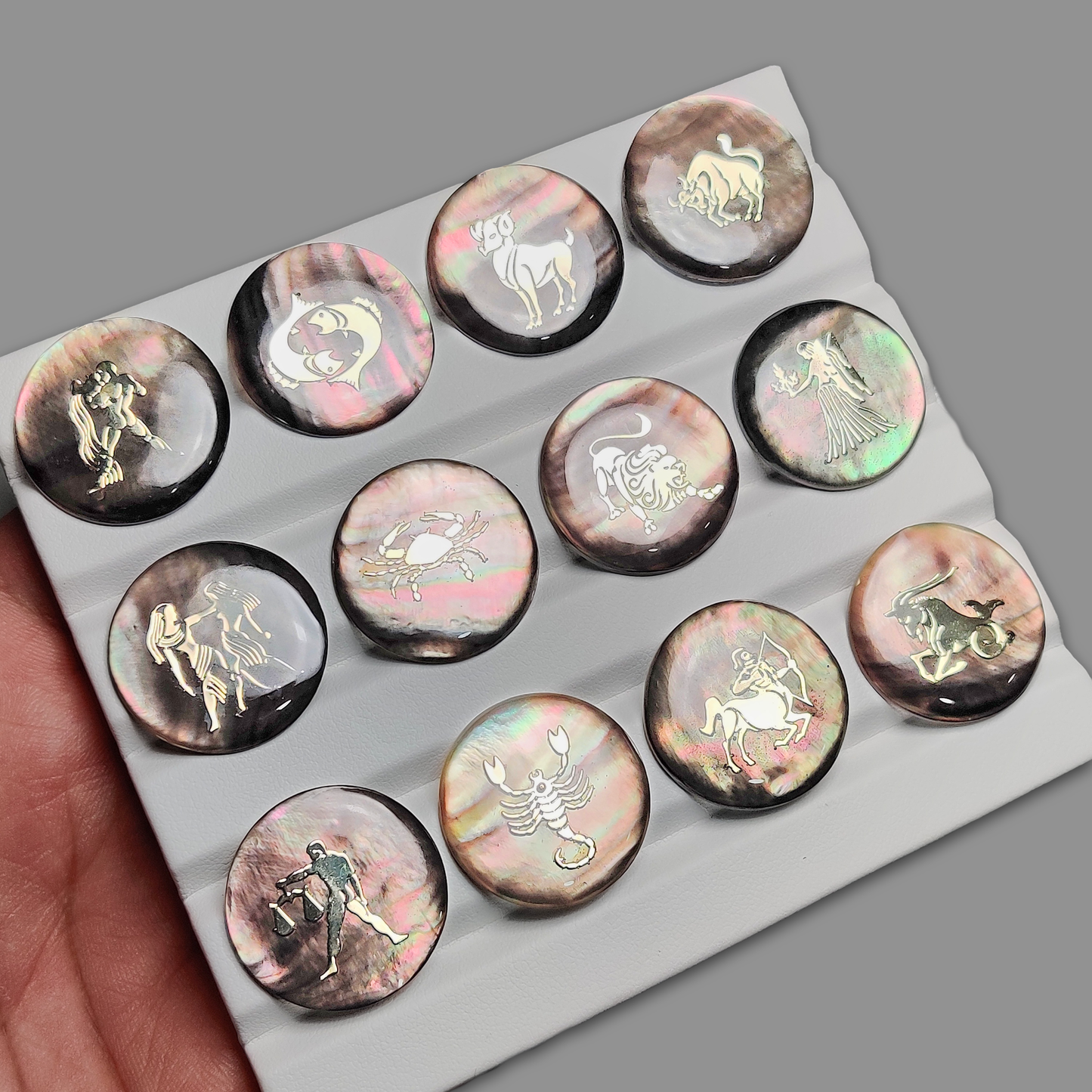 Gilded Zodiac Inlay on Tahitian Pink Rainbow Mother of Pearl with Resin 12 Pieces All Months