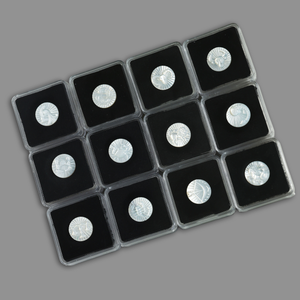 Pearl White Zodiac Set 12 Pieces All Months