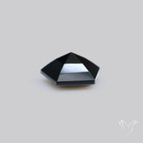 Faceted Fine Cut Black Onyx