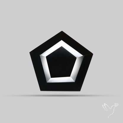 Faceted Fine Cut Black Onyx