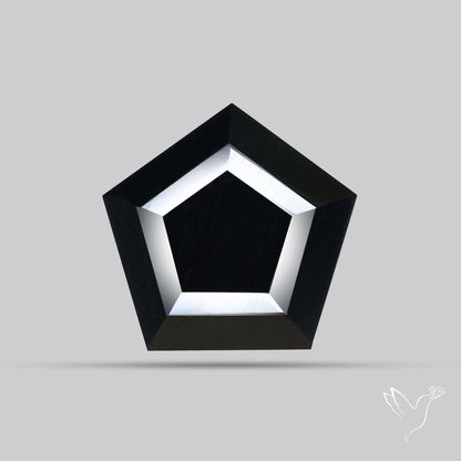 Faceted Fine Cut Black Onyx