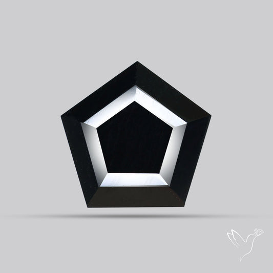 Faceted Fine Cut Black Onyx