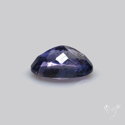 Faceted Iolite Fine Gemstone