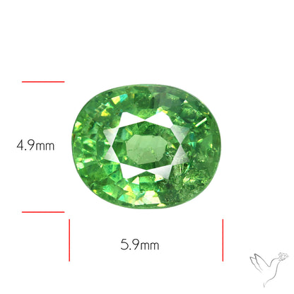 Rare Ural Demantoid Garnets Faceted Fine Gemstone