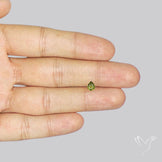 Rare Ural Demantoid Garnets Faceted Fine Gemstone