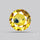 Faceted Songea Sapphire Small Fine Gemstone