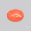 Japanese Red Coral Rare Cabochon