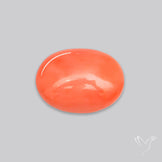Japanese Red Coral Rare Cabochon