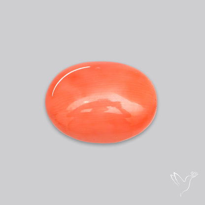Japanese Red Coral Rare Cabochon