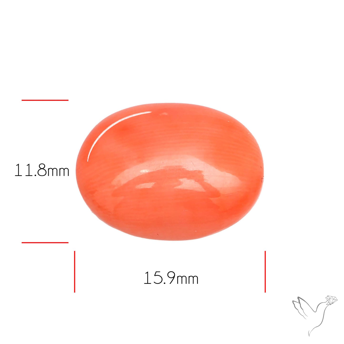 Japanese Red Coral Rare Cabochon