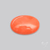 Japanese Red Coral Rare Cabochon