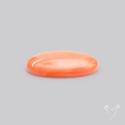 Japanese Red Coral Rare Cabochon