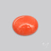 Japanese Red Coral Rare Cabochon
