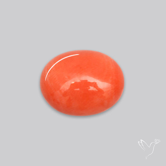 Japanese Red Coral Rare Cabochon
