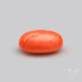 Japanese Red Coral Rare Cabochon