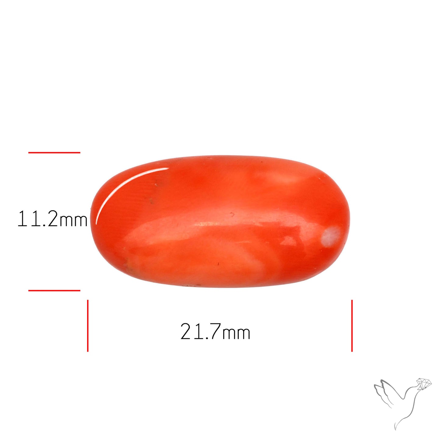 Japanese Red Coral Rare Cabochon