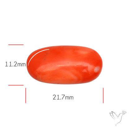 Japanese Red Coral Rare Cabochon