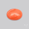 Japanese Red Coral Rare Cabochon