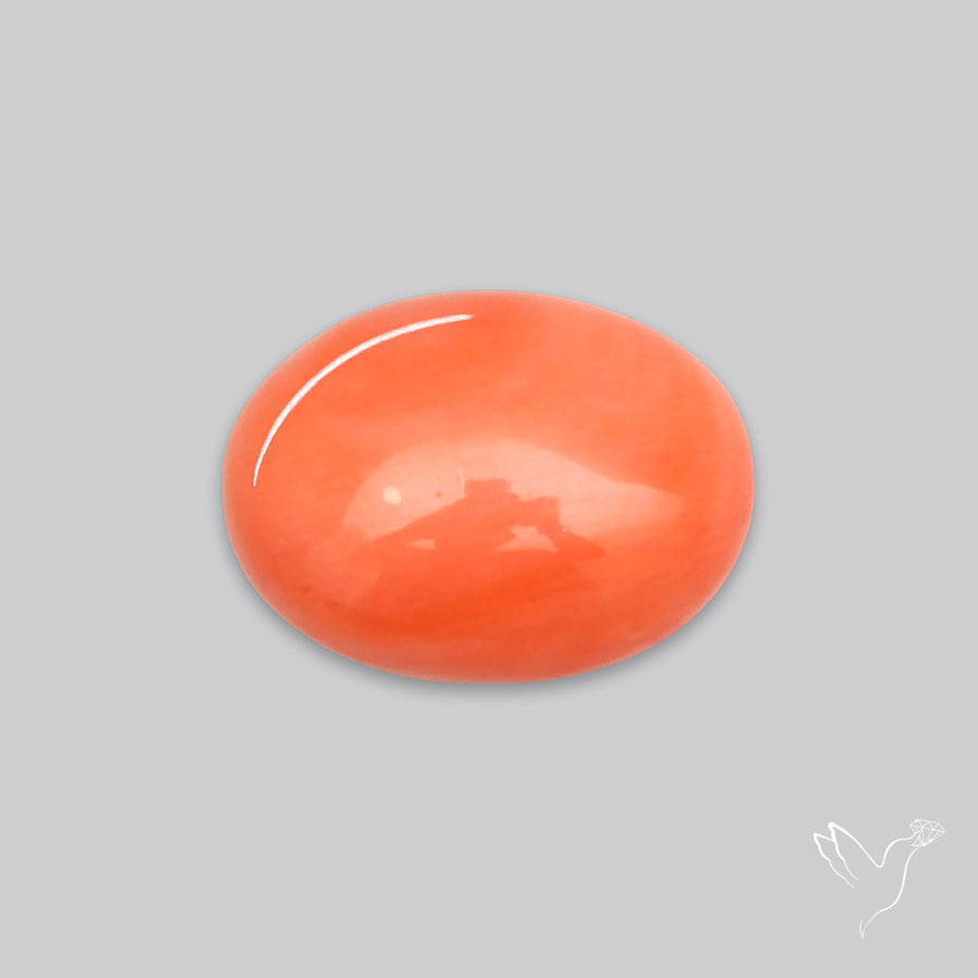 Japanese Red Coral Rare Cabochon
