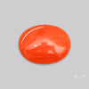Japanese Red Coral Rare Cabochon