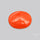 Japanese Red Coral Rare Cabochon