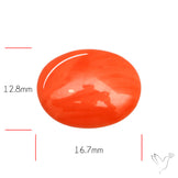 Japanese Red Coral Rare Cabochon