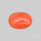 Japanese Red Coral Rare Cabochon