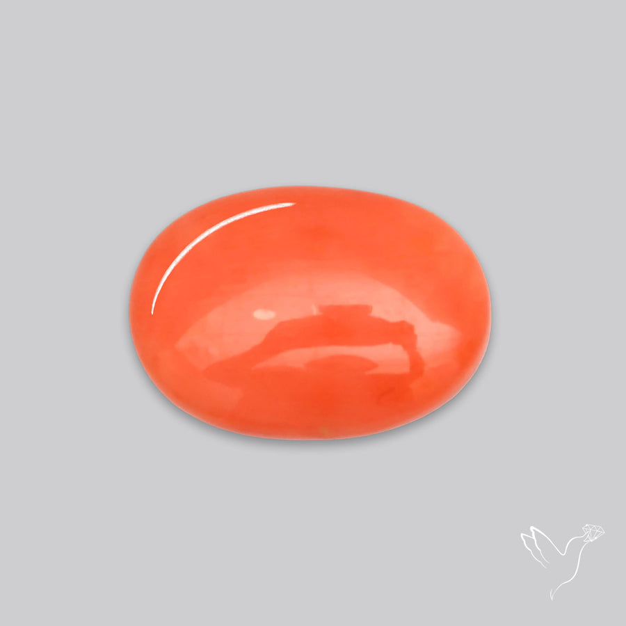 Japanese Red Coral Rare Cabochon