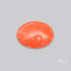 Japanese Red Coral Rare Cabochon