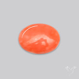 Japanese Red Coral Rare Cabochon