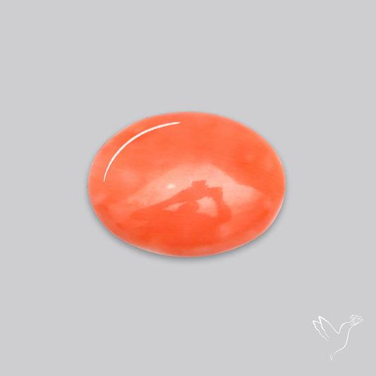 Japanese Red Coral Rare Cabochon