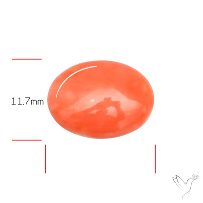 Japanese Red Coral Rare Cabochon