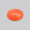 Japanese Red Coral Rare Cabochon