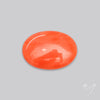 Japanese Red Coral Rare Cabochon