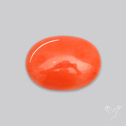 Japanese Red Coral Rare Cabochon