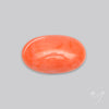 Japanese Red Coral Rare Cabochon