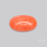 Japanese Red Coral Rare Cabochon