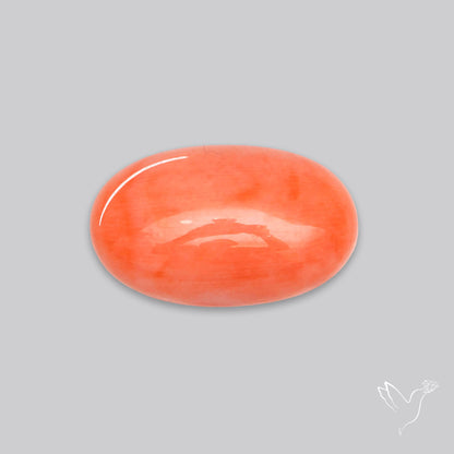 Japanese Red Coral Rare Cabochon