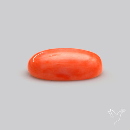 Japanese Red Coral Rare Cabochon