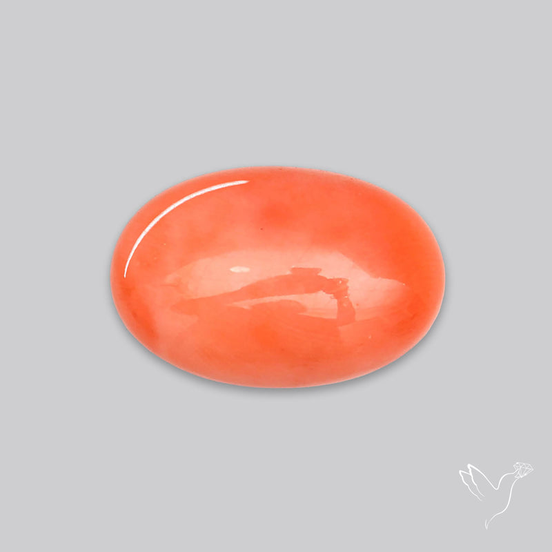 Japanese Red Coral Rare Cabochon