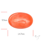 Japanese Red Coral Rare Cabochon