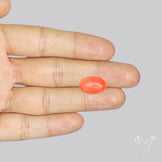 Japanese Red Coral Rare Cabochon