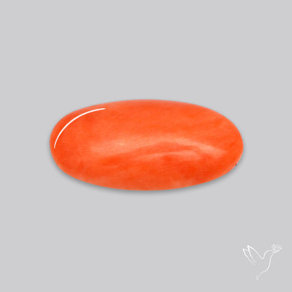 Japanese Red Coral Rare Cabochon