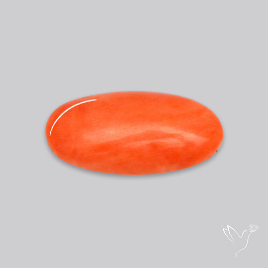 Japanese Red Coral Rare Cabochon
