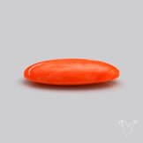 Japanese Red Coral Rare Cabochon